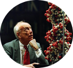 James Dewey Watson